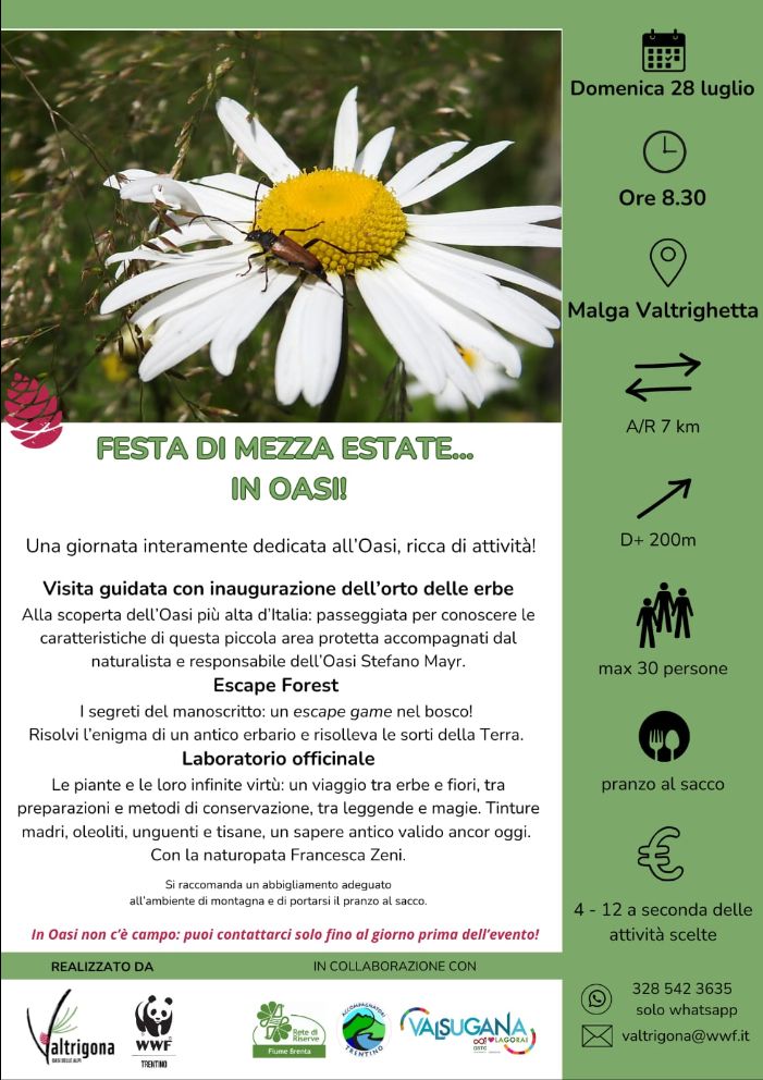 Locandina: Festa di mezza estate in Oasi