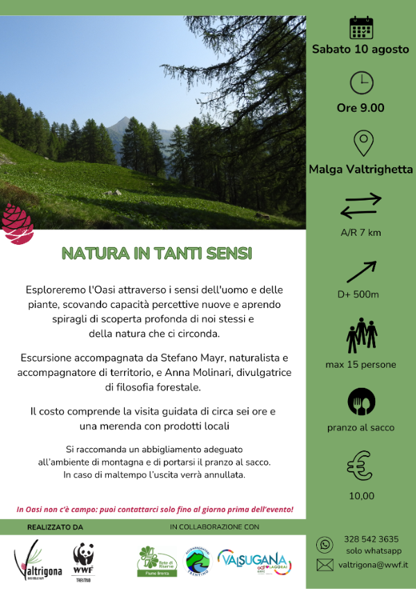 Locandina: Natura in tanti sensi: escursione di filosofia forestale a Valtrigona