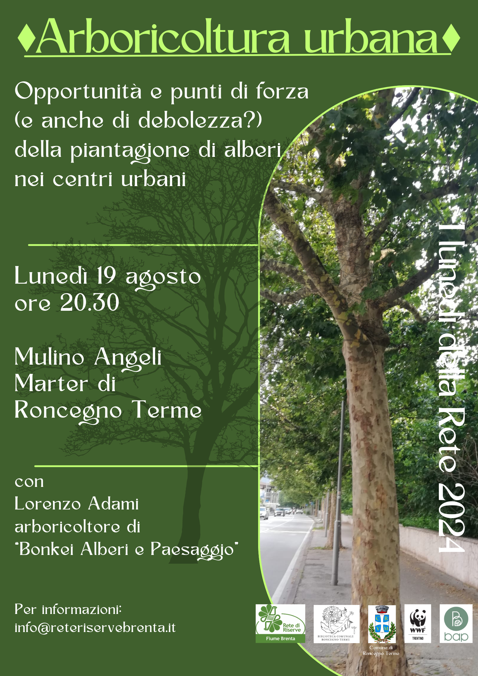 Locandina: I lunedì della Rete: arboricoltura urbana