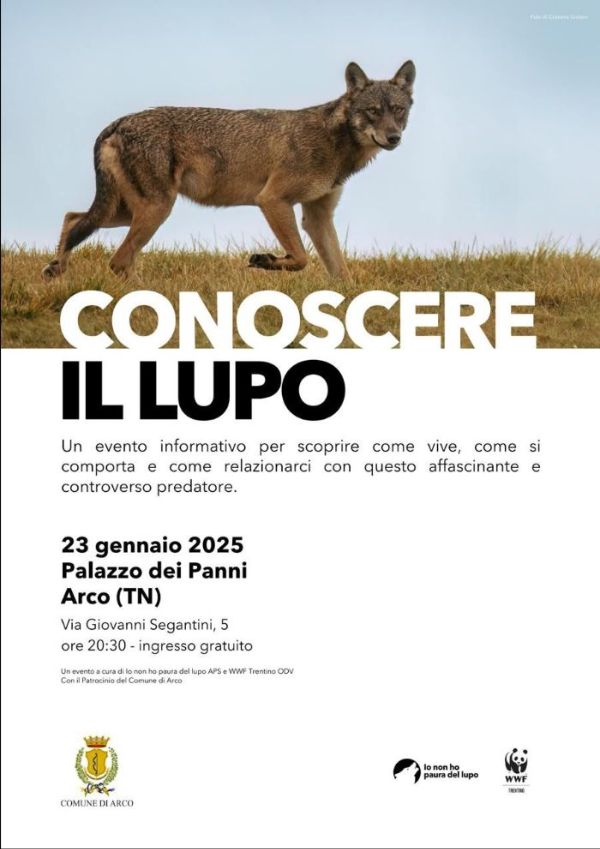 Locandina: Conoscere il lupo: serata informativa ad Arco