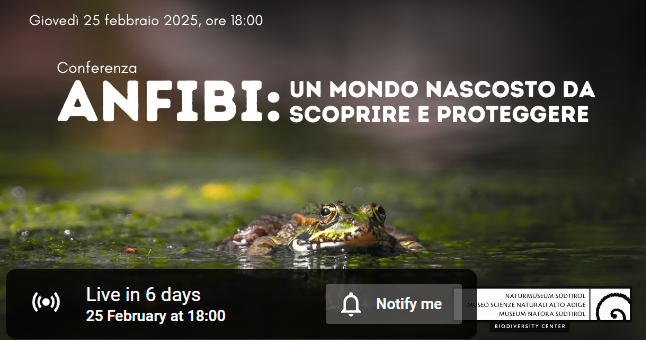 Locandina: Anfibi: un mondo nascosto da scoprire e proteggere. Conferenza a Bolzano