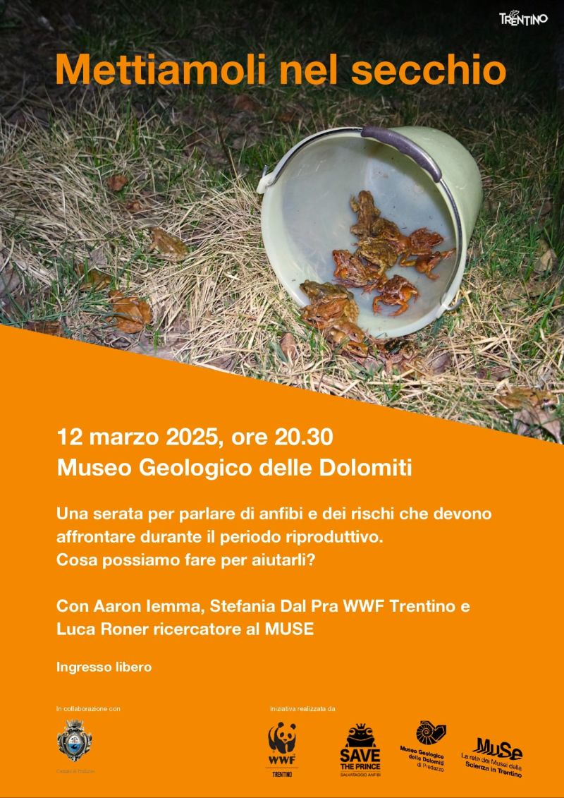 Locandina: Mettiamoli nel secchio! Serata sugli anfibi a Predazzo