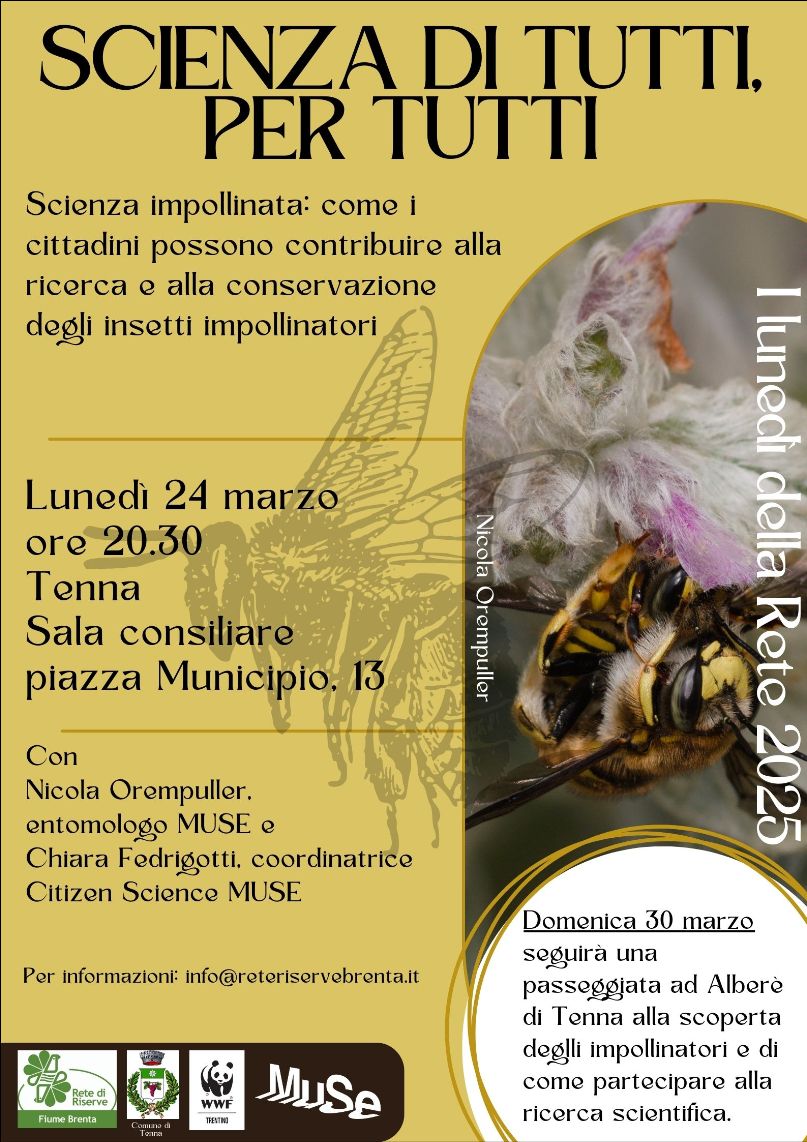 Locandina: I lunedì della Rete: scienza di tutti, per tutti. Citizen science e insetti impollinatori