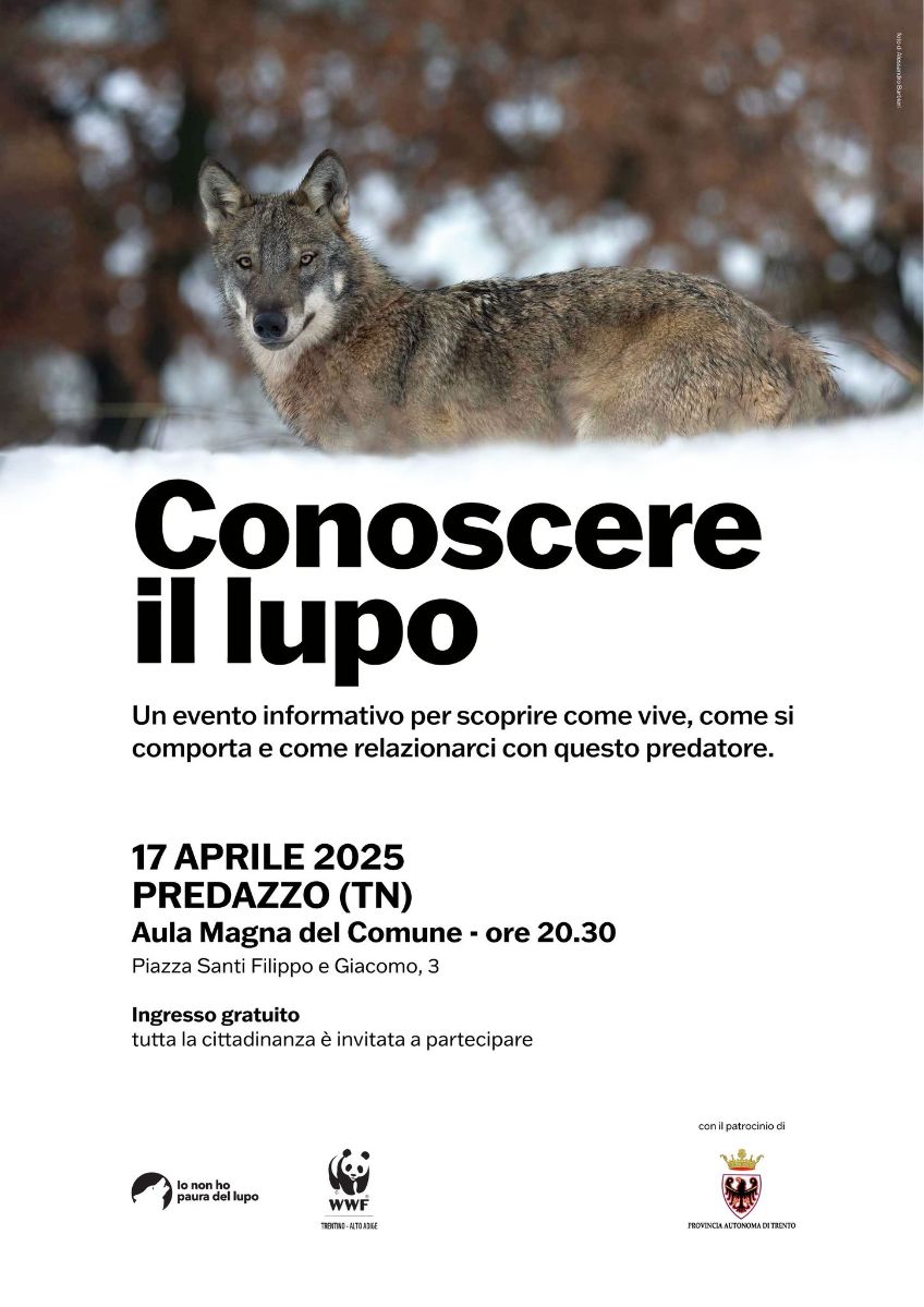 Locandina: Conoscere il lupo: serata informativa a Predazzo