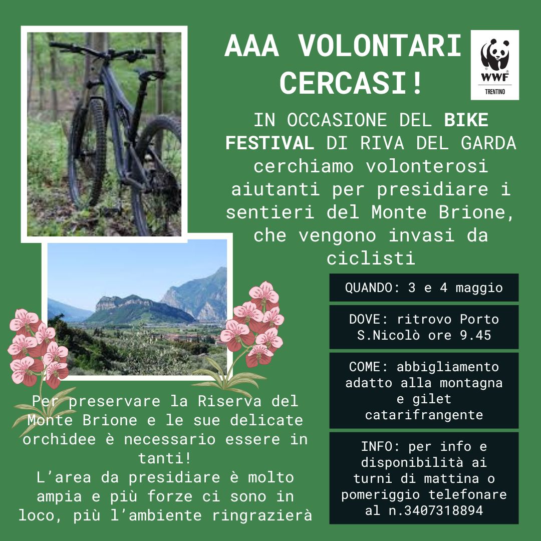 Locandina: Bike Festival: presidio dei volontari sul monte Brione