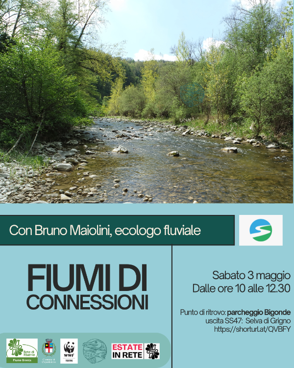 Locandina: Fiumi di connessioni: uscita sul Brenta con Bruno Maiolini