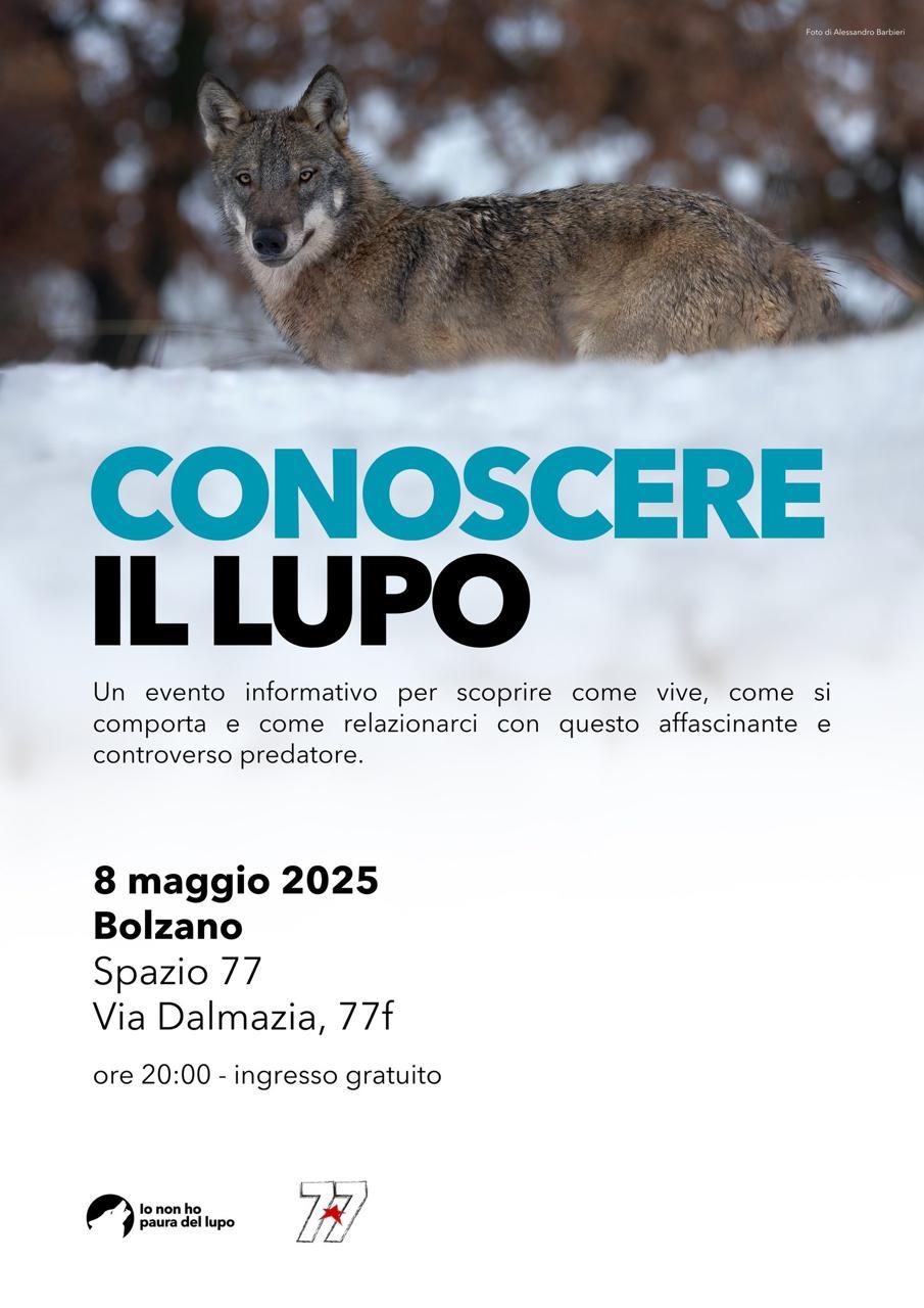 Locandina: Conoscere il lupo: prima serata a Bolzano