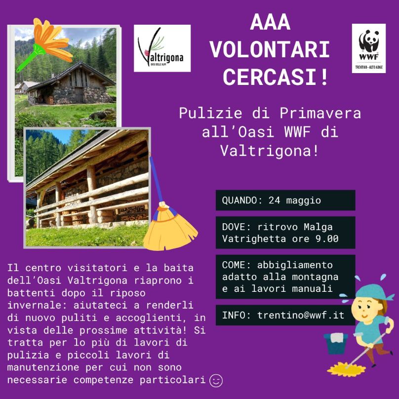 Locandina: Pulizie di primavera all'Oasi di Valtrigona