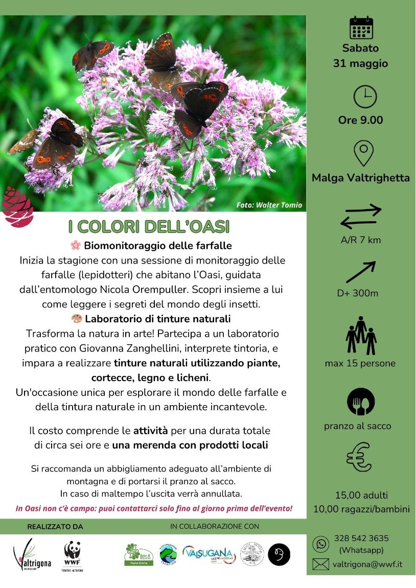 Locandina: I colori dell'Oasi: farfalle e tinture naturali a Valtrigona