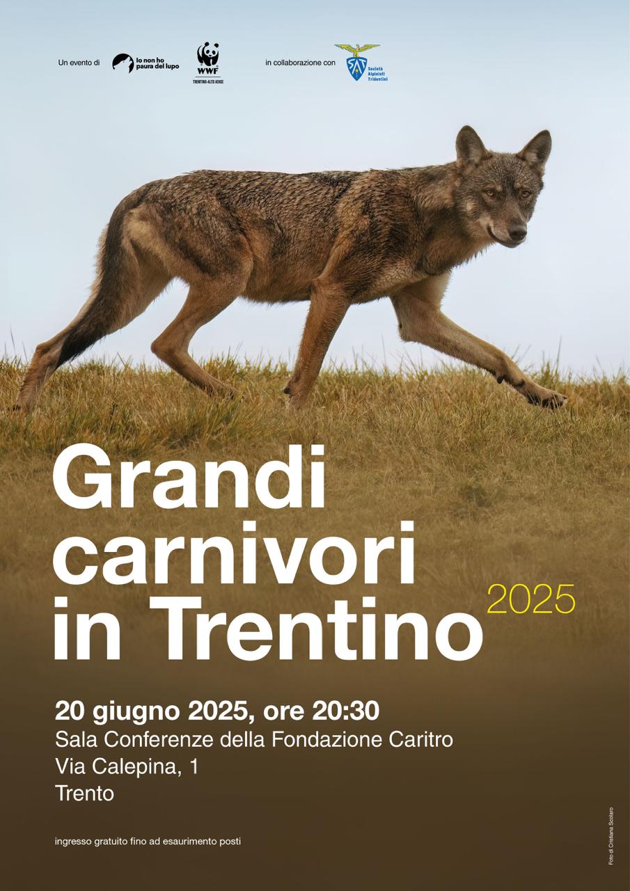 Locandina: Grandi Carnivori in Trentino 2025: serata informativa