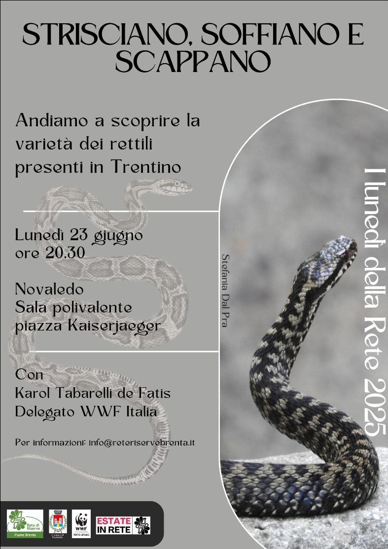 Locandina: I lunedì della Rete: i rettili del Trentino