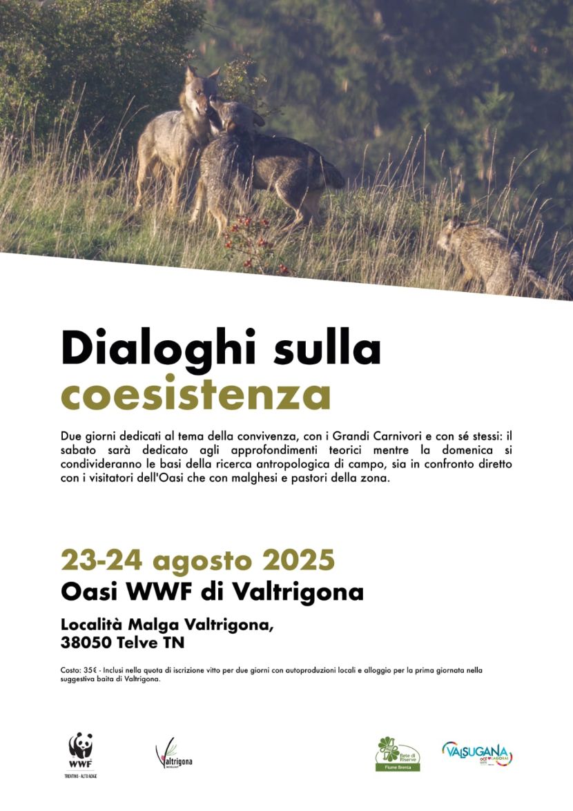Locandina: Dialoghi sulla coesistenza: due giorni sui grandi carnivori all'Oasi di Valtrigona