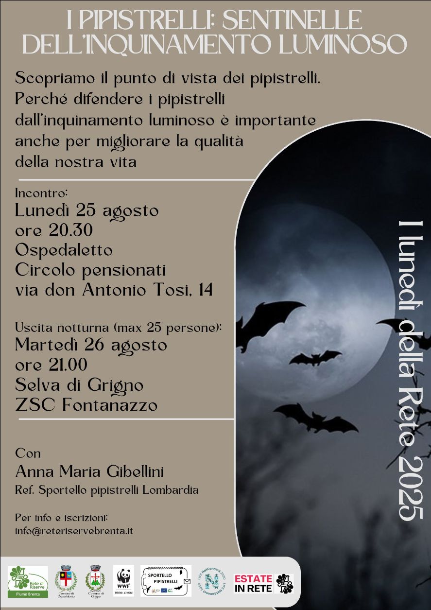 Locandina: I lunedì della Rete: pipistrelli, sentinelle dell'inquinamento luminoso