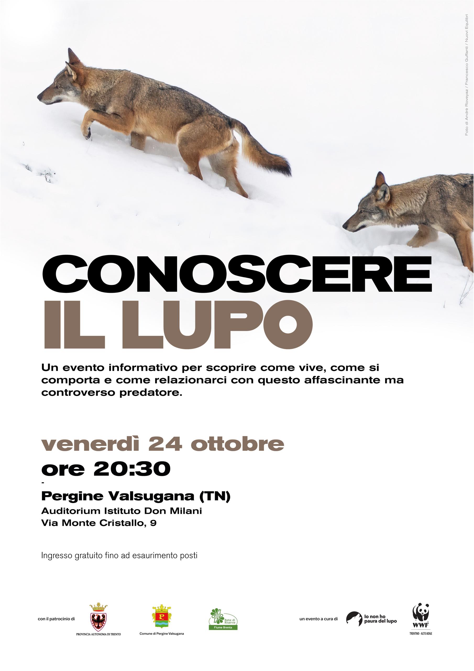Locandina: Conoscere il lupo: serata informativa a Pergine Valsugana