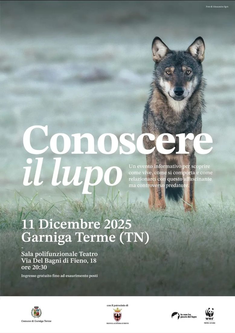 Locandina: Conoscere il lupo: serata a Garniga Terme