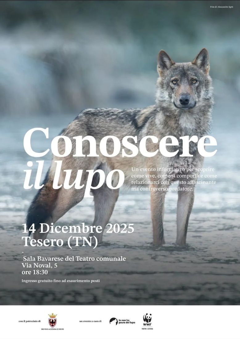 Locandina: Conoscere il lupo: serata a Tesero
