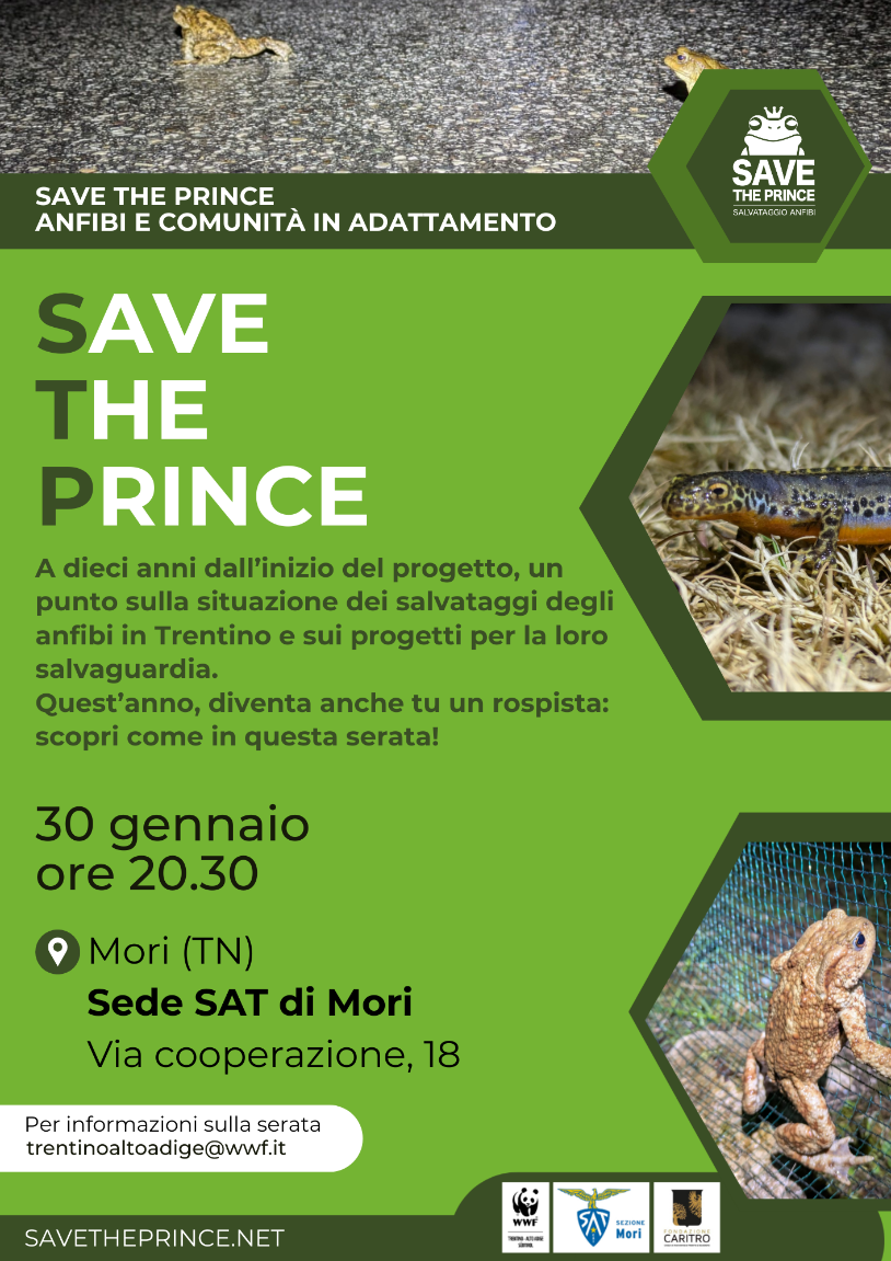 Locandina: Save the Prince: serata sul salvataggio degli anfibi alla SAT di Mori