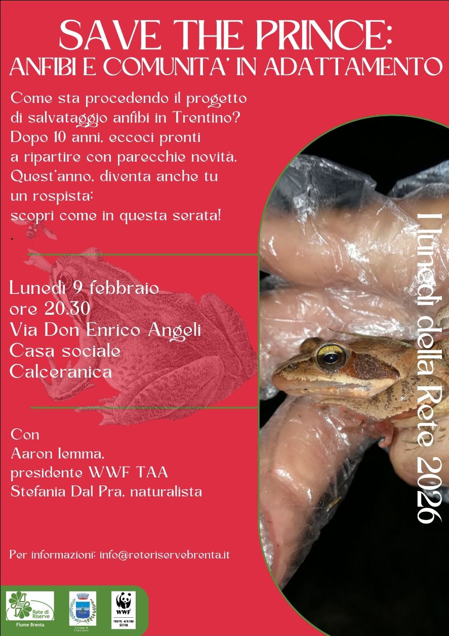 Locandina: I lunedì della Rete: Save the Prince, anfibi e comunità in adattamento
