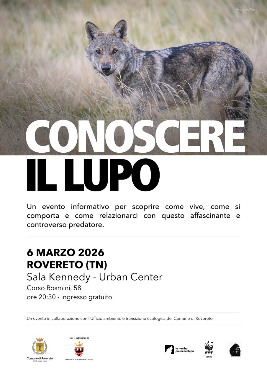 Locandina: Conoscere il lupo: serata informativa a Rovereto