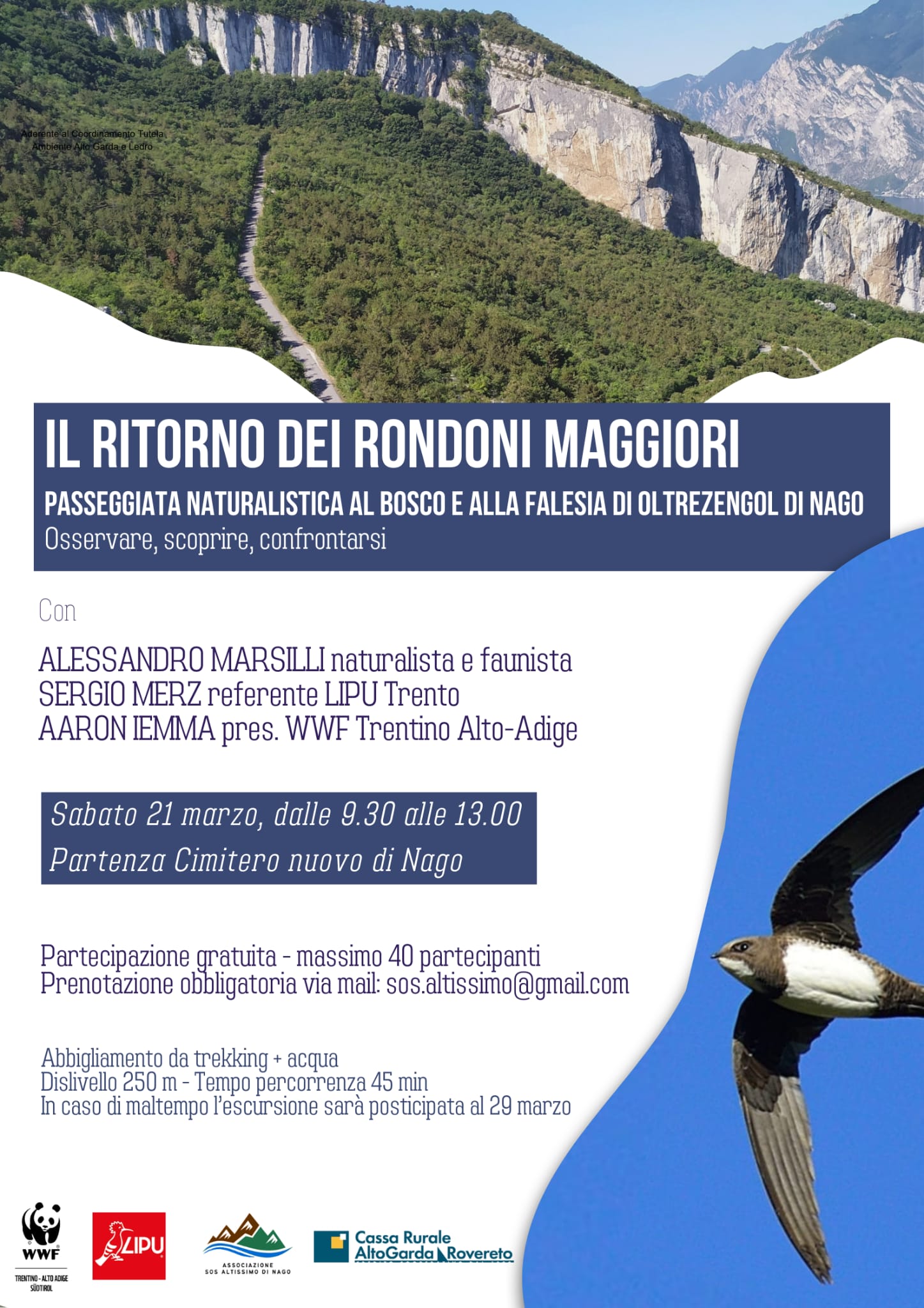 Locandina: Il ritorno dei rondoni maggiori: passeggiata naturalistica alla falesia di Oltrezengol