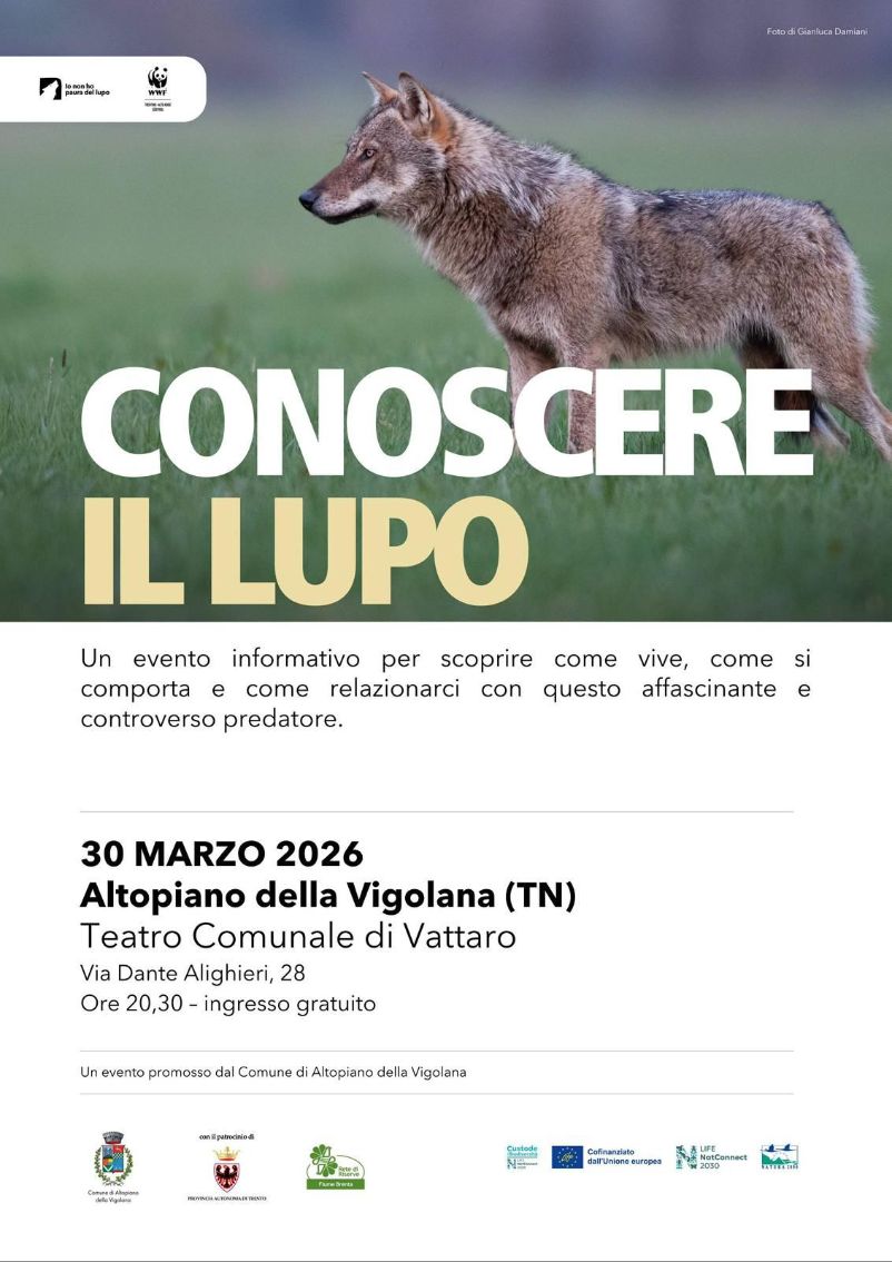 Locandina: Conoscere il lupo: serata informativa a Vattaro