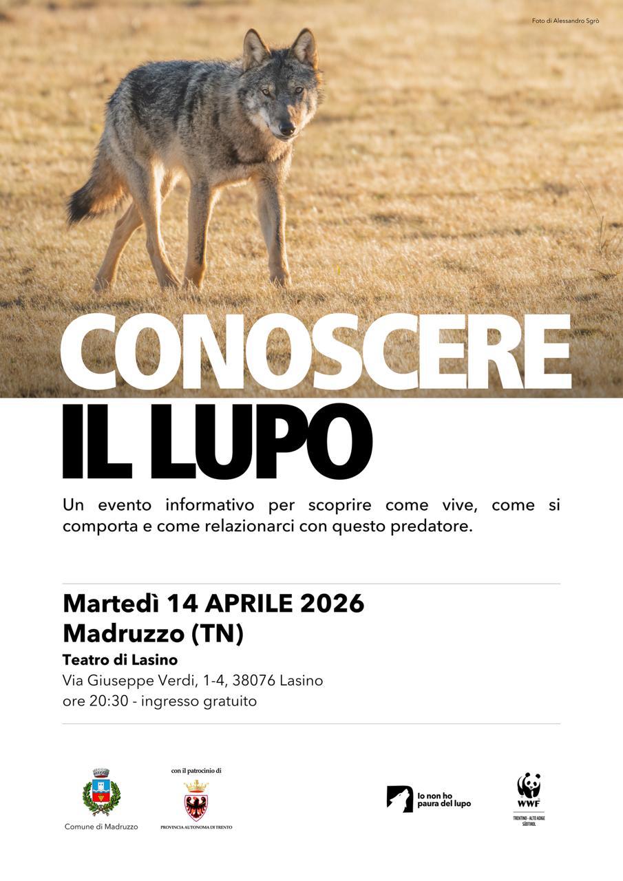 Locandina: Conoscere il lupo: serata informativa a Lasino