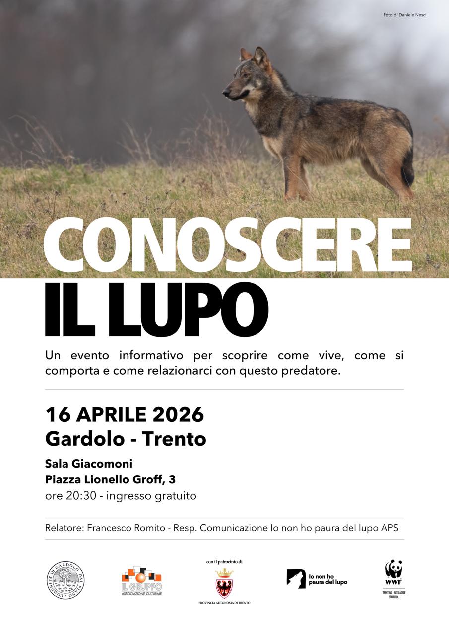 Locandina: Conoscere il lupo: serata informativa a Gardolo