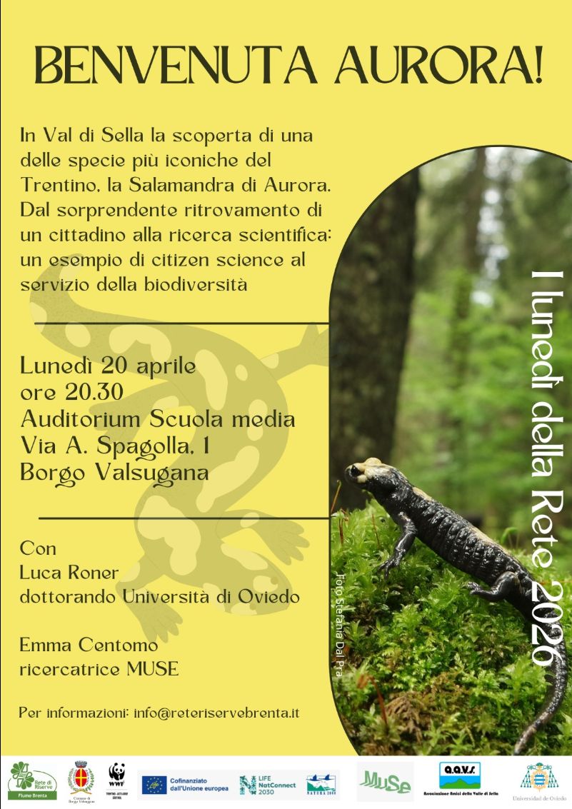 Locandina: I lunedì della Rete: benvenuta Aurora! La salamandra di Aurora in Val di Sella