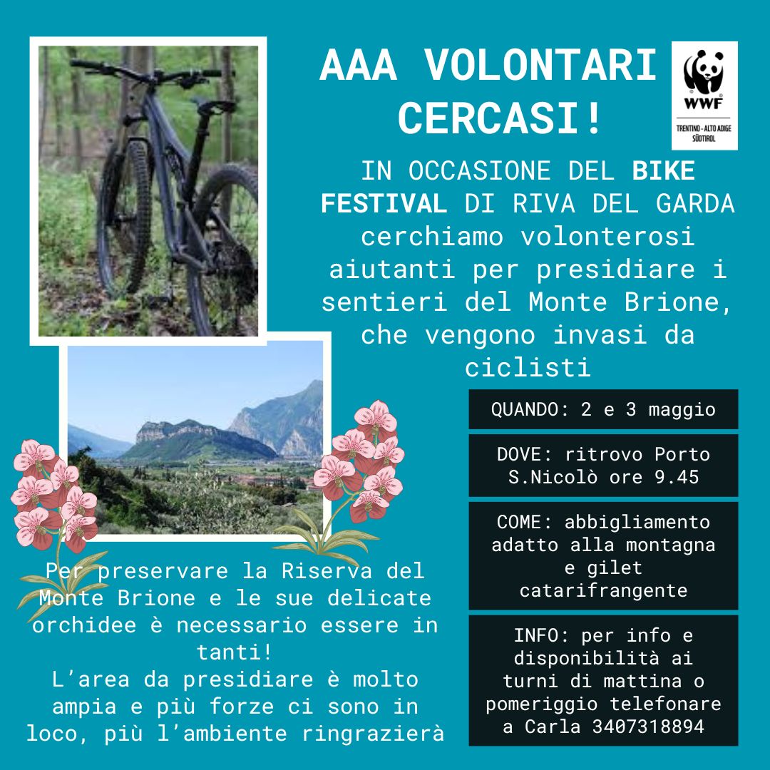 Locandina: Bike Festival 2026: presidio dei volontari sul monte Brione