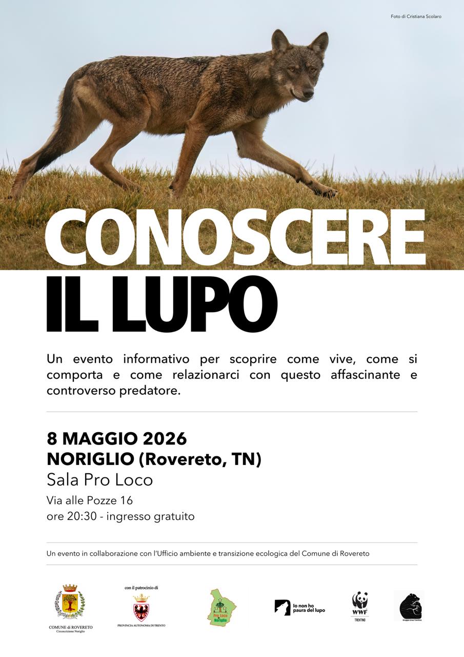 Locandina: Conoscere il lupo: serata informativa a Noriglio