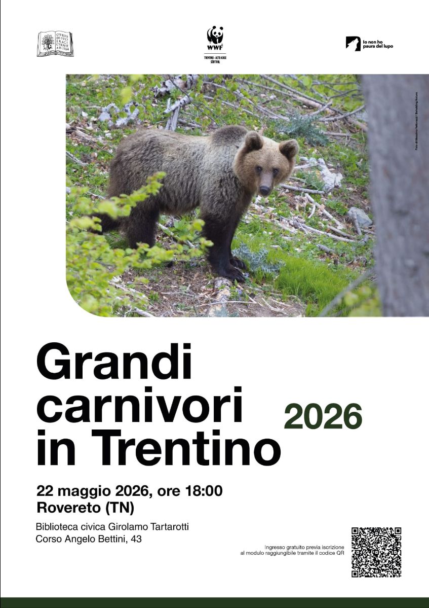 Locandina: Grandi Carnivori in Trentino 2026: presentazione del rapporto