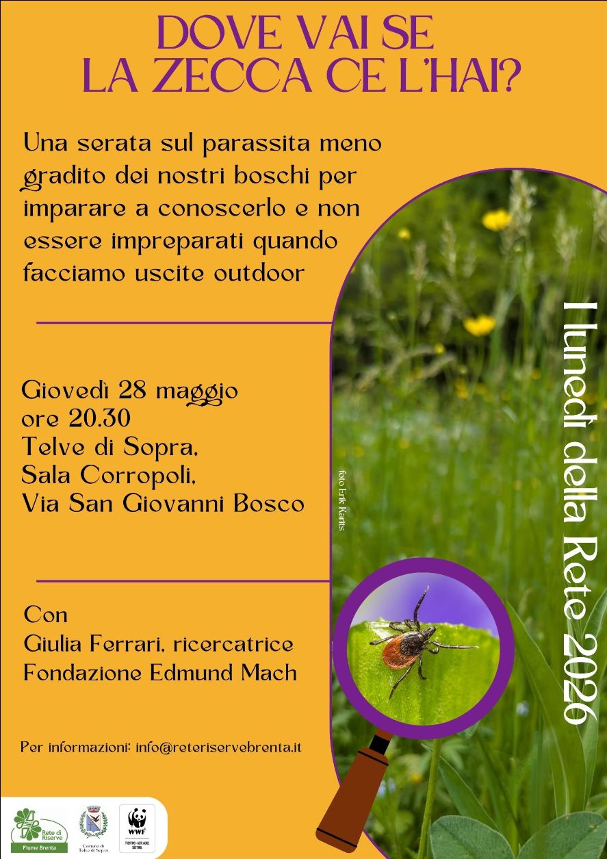Locandina: I lunedì della Rete: dove vai se la zecca ce l'hai? (Telve di Sopra)