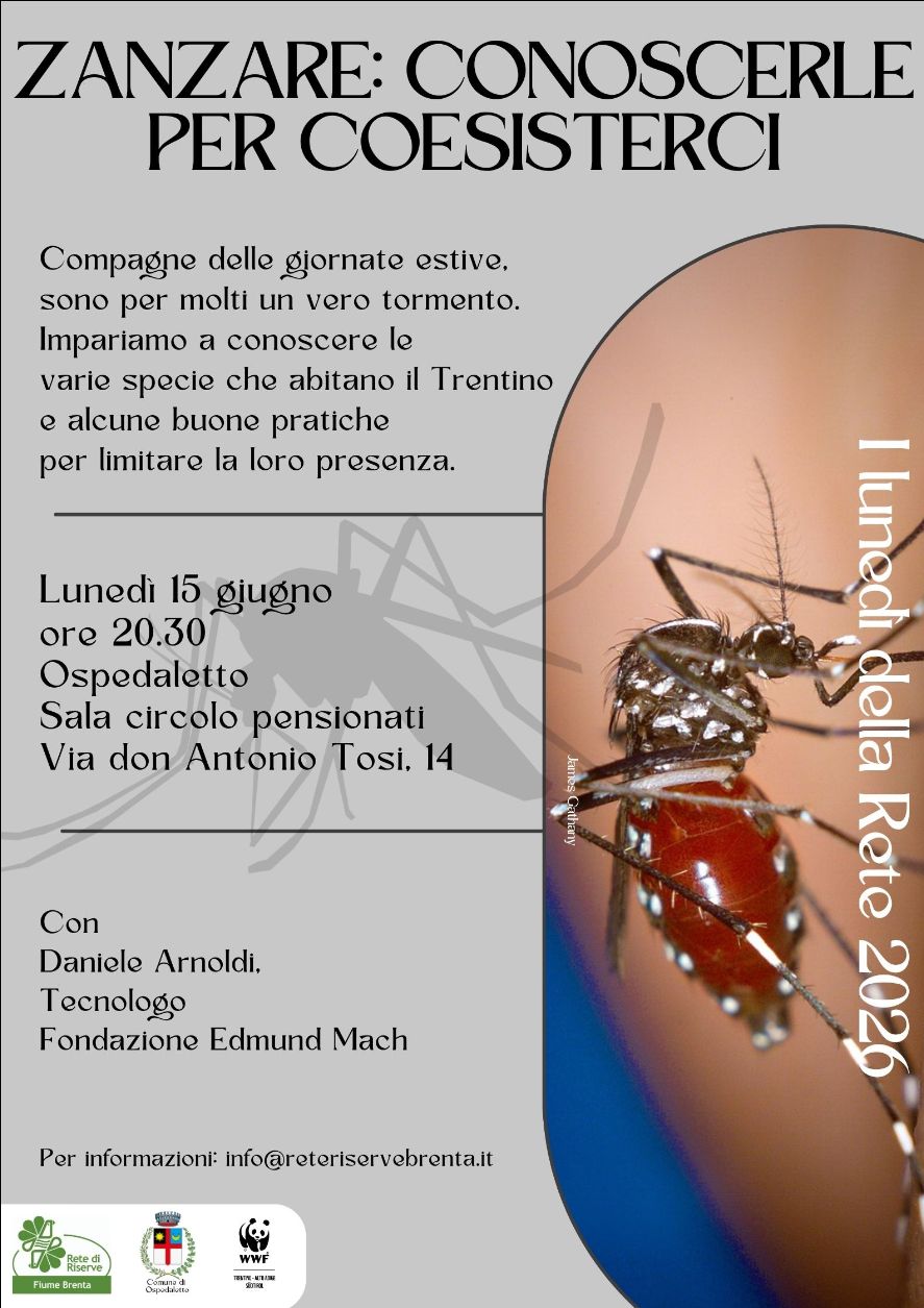 Locandina: I lunedì della Rete: zanzare, conoscerle per coesisterci