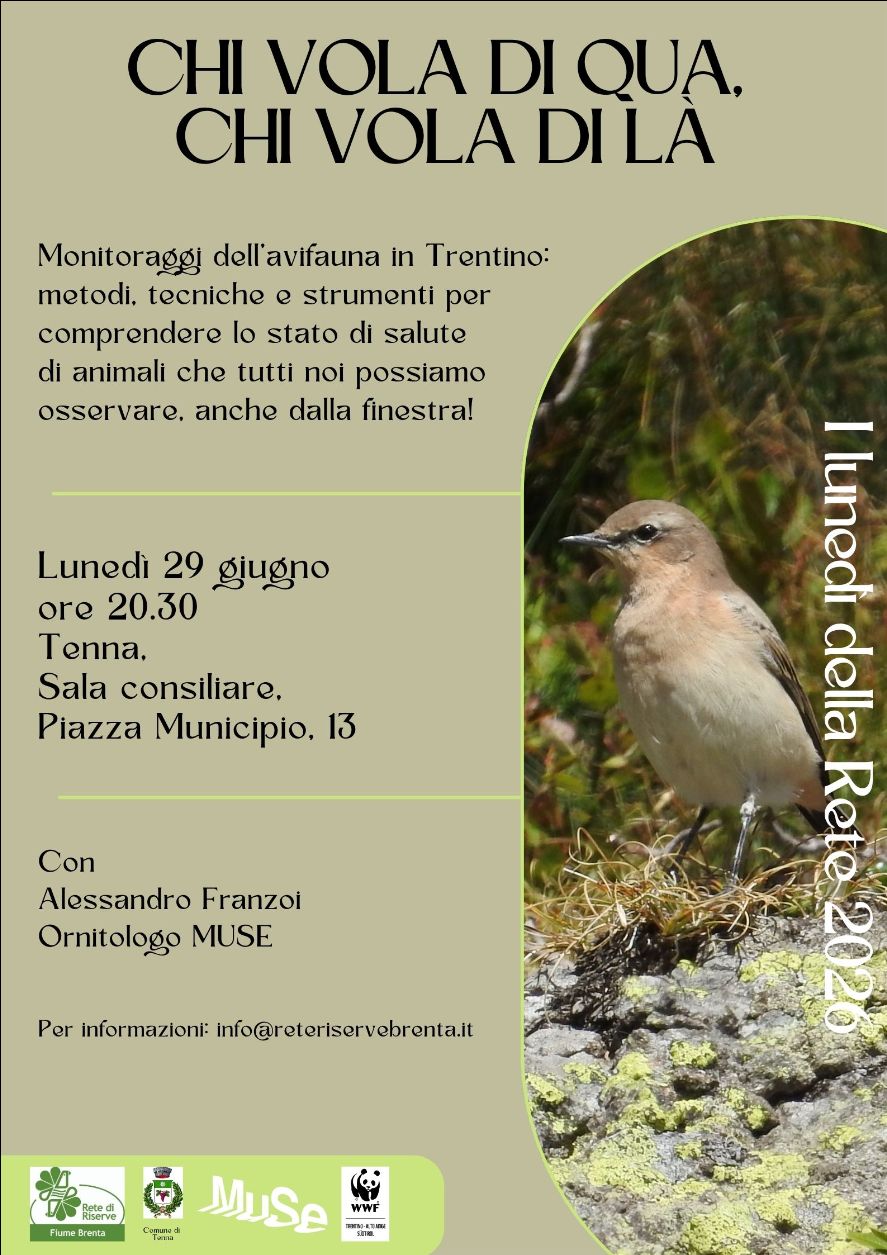 Locandina: I lunedì della Rete: chi vola di qua, chi vola di là. Avifauna, migrazioni e monitoraggi