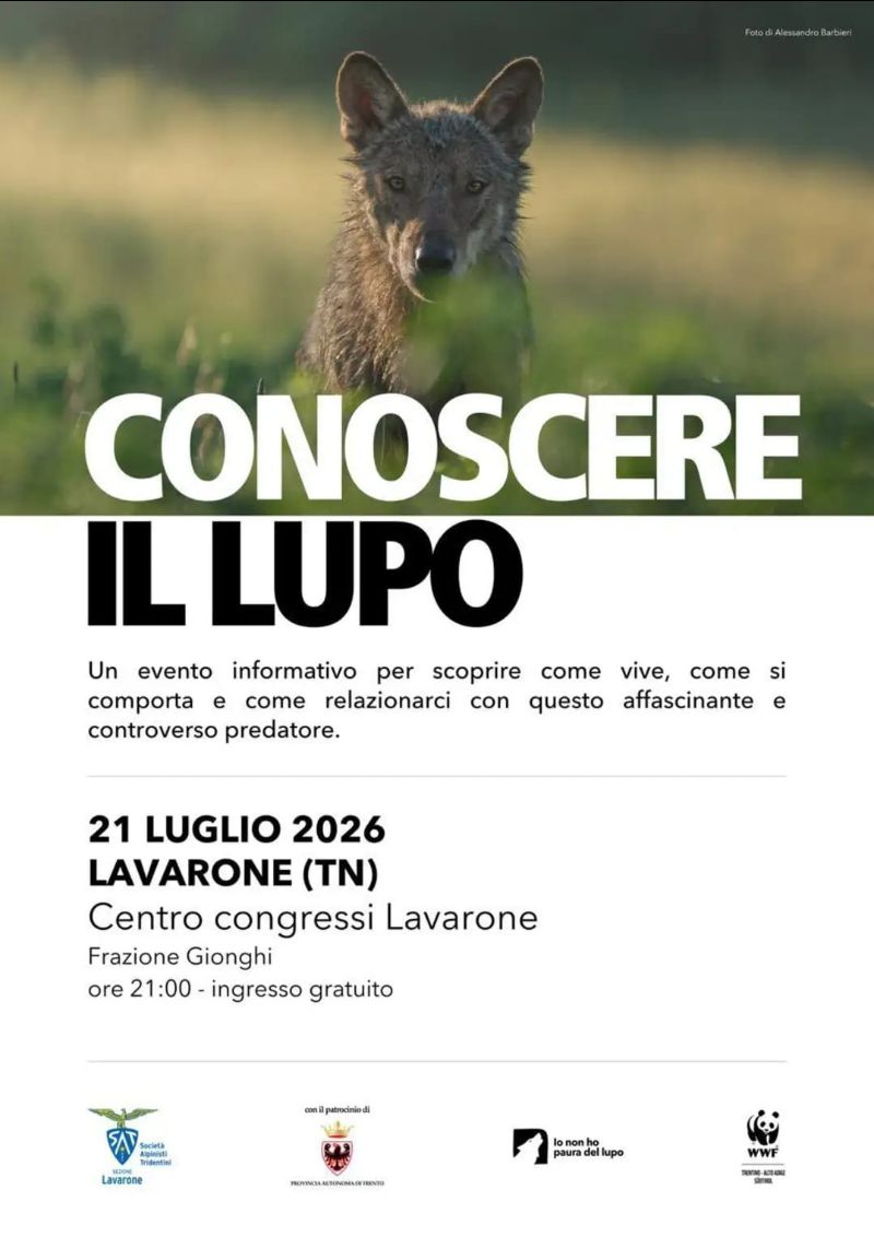 Locandina: Conoscere il lupo: serata a Lavarone