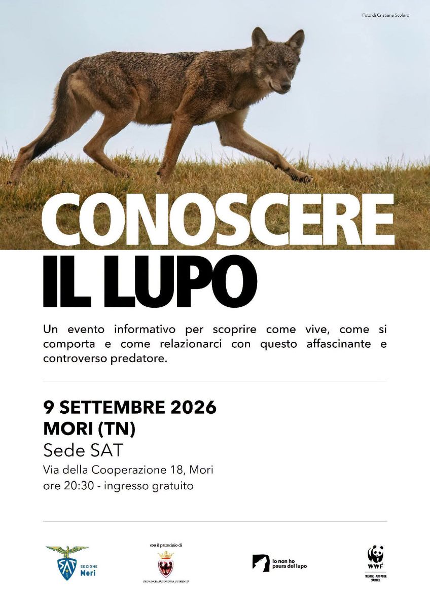 Locandina: Conoscere il lupo: serata alla SAT di Mori