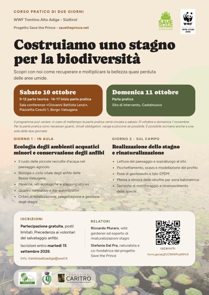 Programma del corso Costruiamo uno stagno per la biodiversità