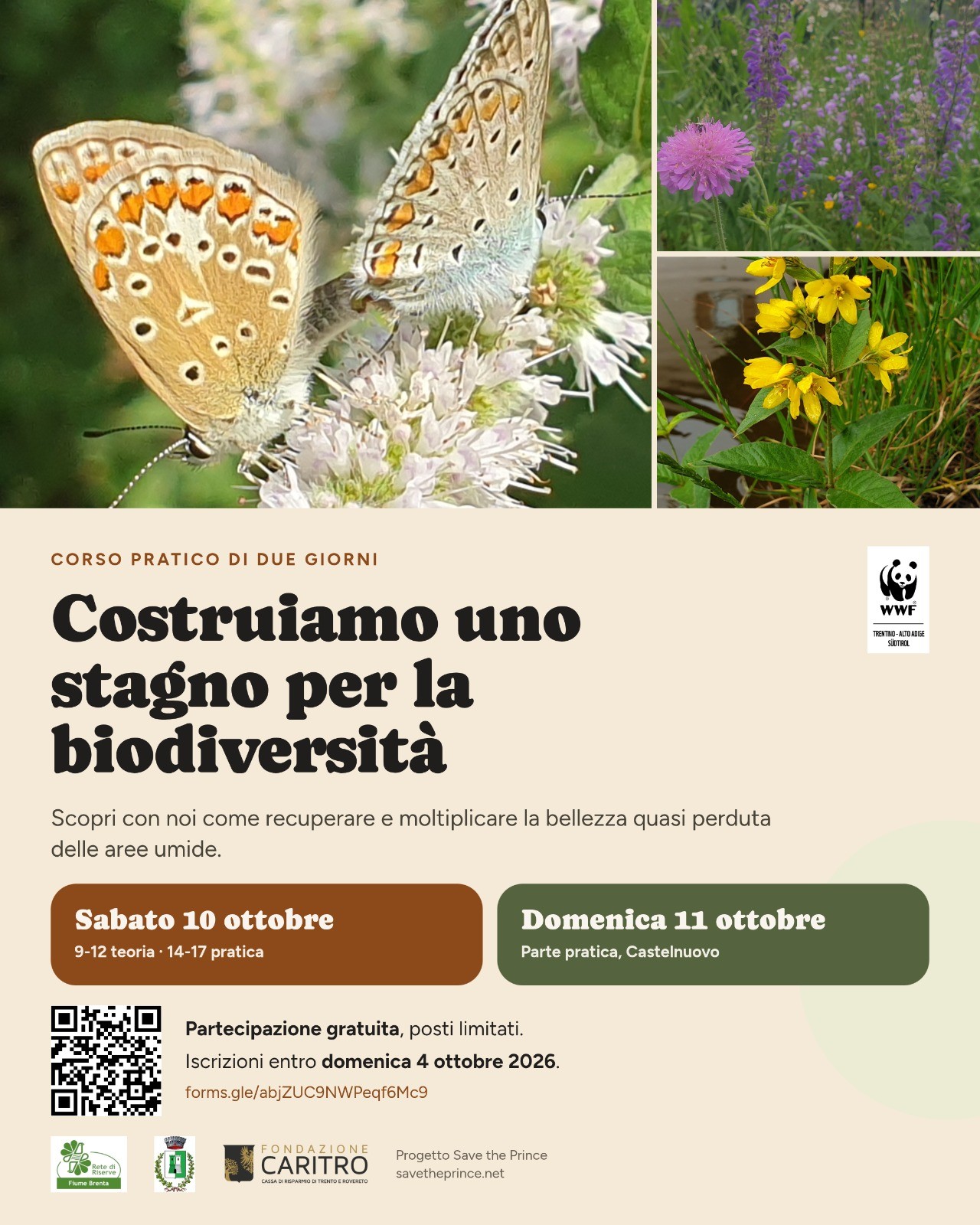 Locandina del corso Costruiamo uno stagno per la biodiversità