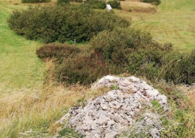 Un affioramento roccioso fra i pascoli dell'Alpe di Siusi