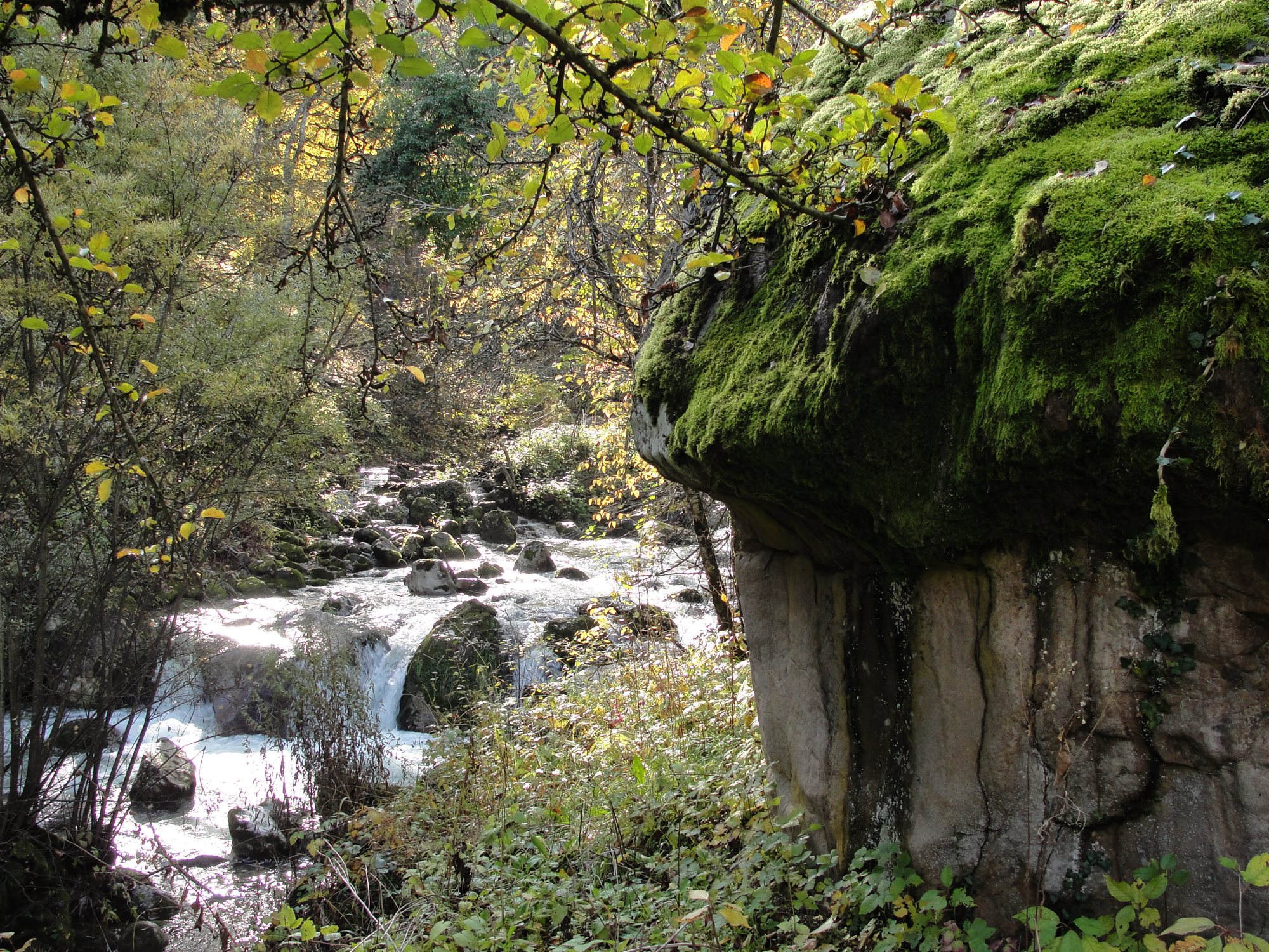 Un masso erratico nella Valle dello Sporeggio. Arch. WWF