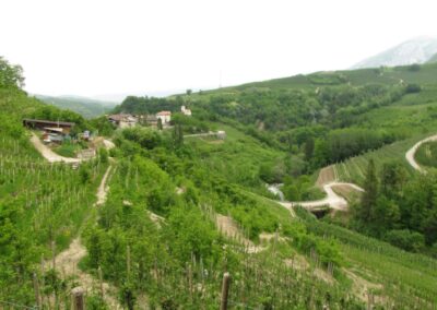 L'azienda agricola biologica e i vigneti della Valle dello Sporeggio