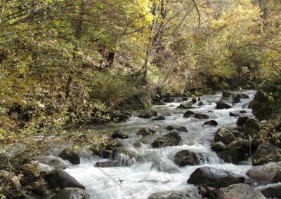 Il torrente Sporeggio. Arch. WWF
