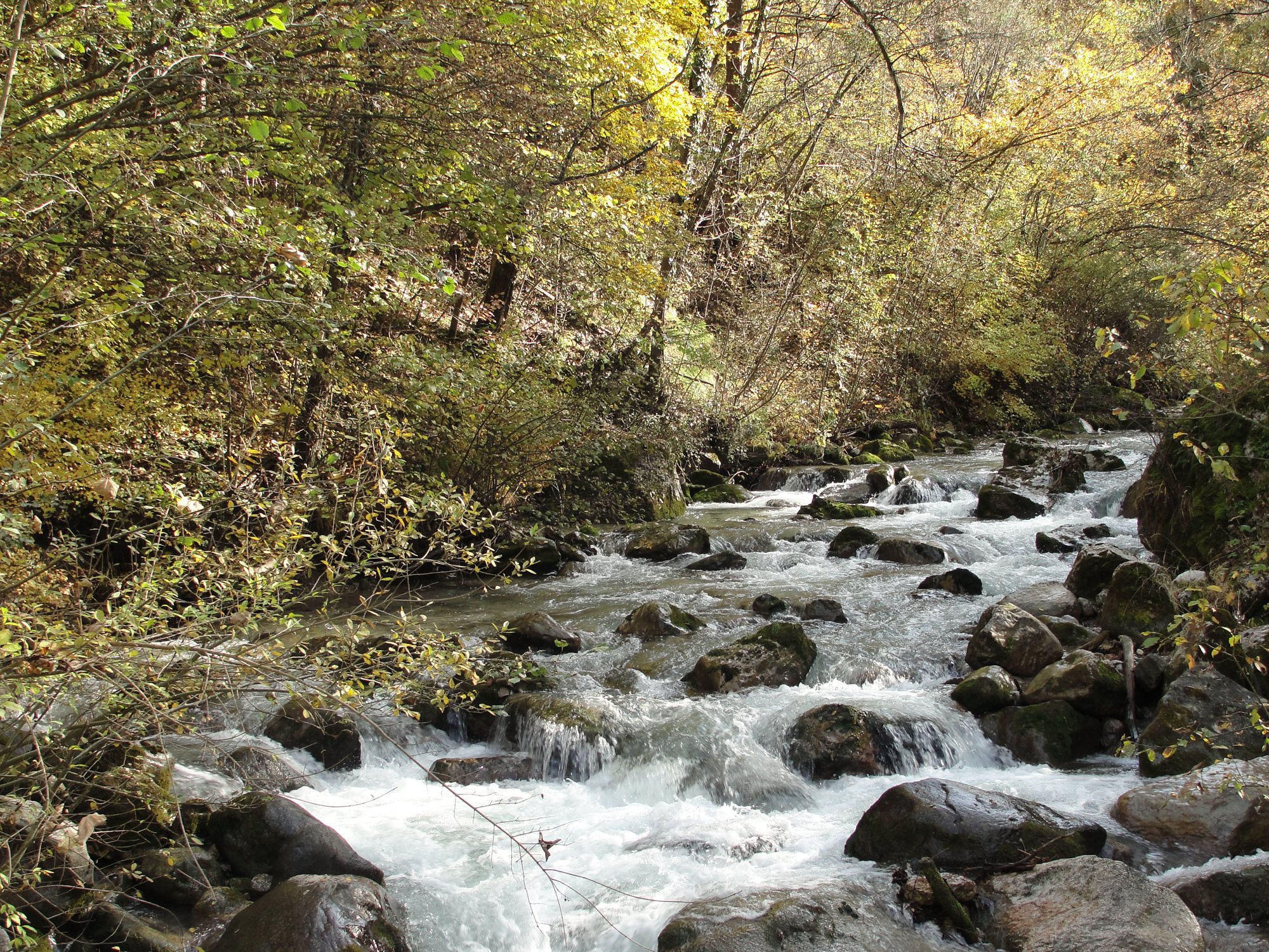 Il torrente Sporeggio. Arch. WWF