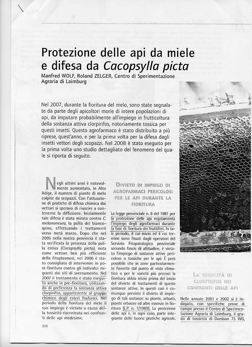 Articolo sulla moria dellle api 1
