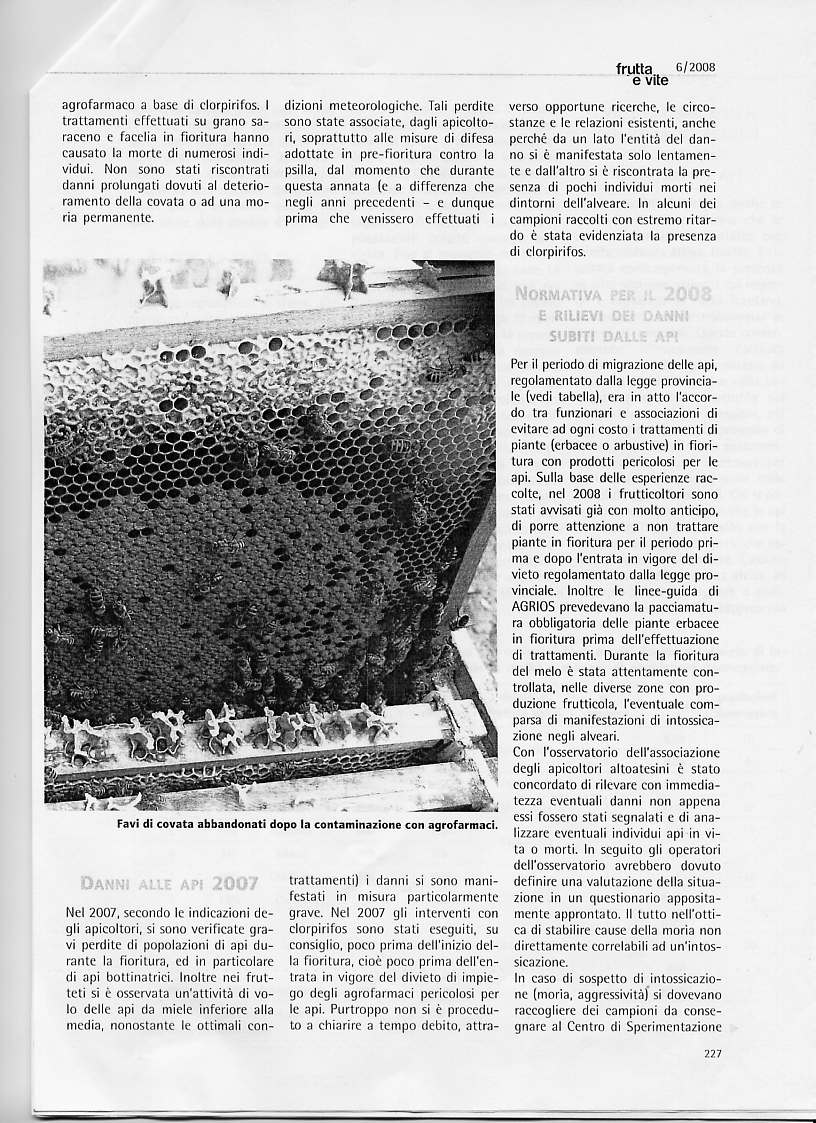 pag 2