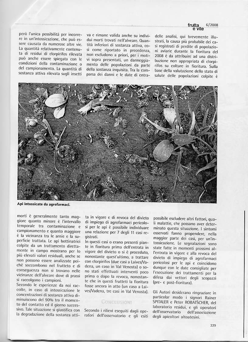 pag 4