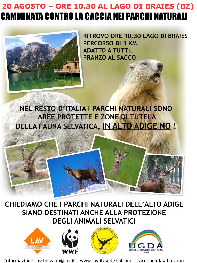 Volantino camminata 20.08.2017